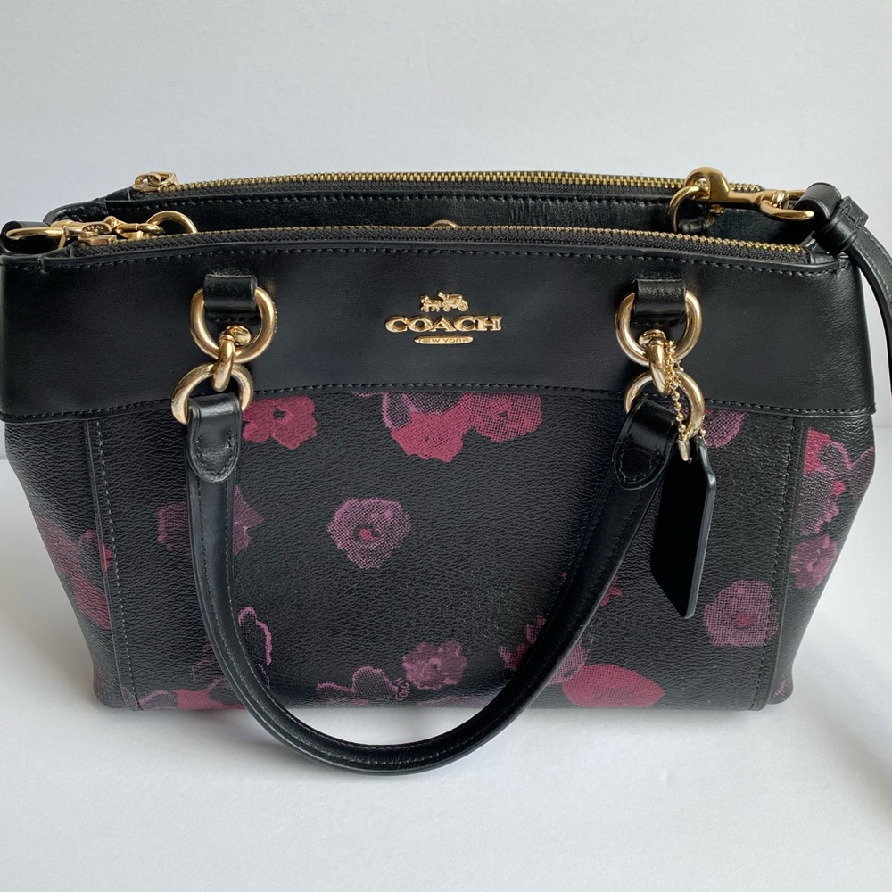 COACH Mini Brooke Carryall